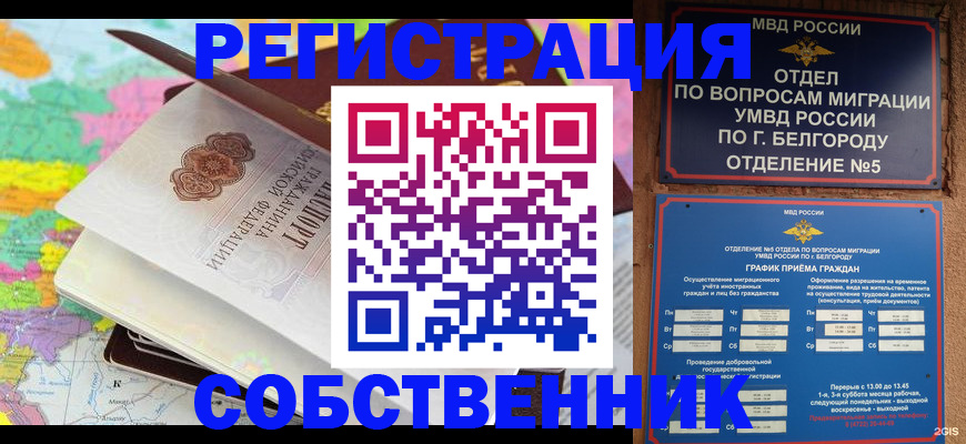 временная регистрация гарантия в Завитинске